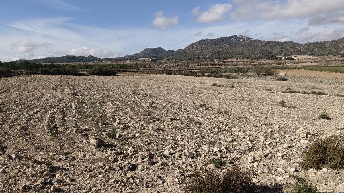 Se vende Terreno Rustico  en Costa Blanca, Alicante, España