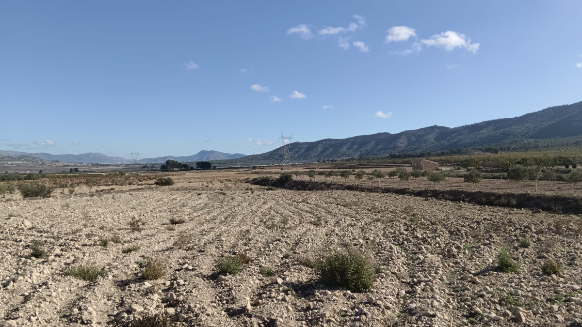 Se vende Terreno Rustico  en Costa Blanca, Alicante, España
