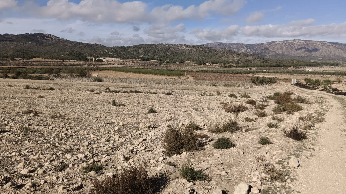 Se vende Terreno Rustico  en Costa Blanca, Alicante, España