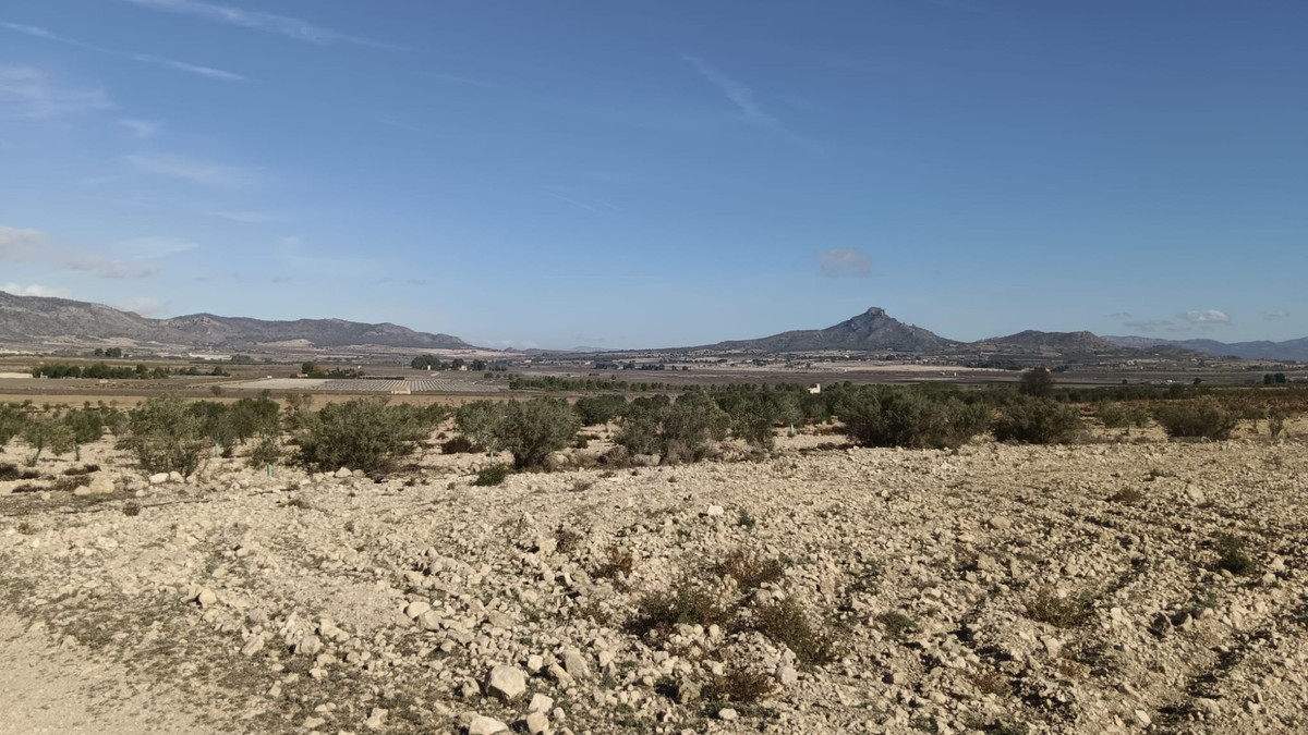 Se vende Terreno Rustico  en Costa Blanca, Alicante, España