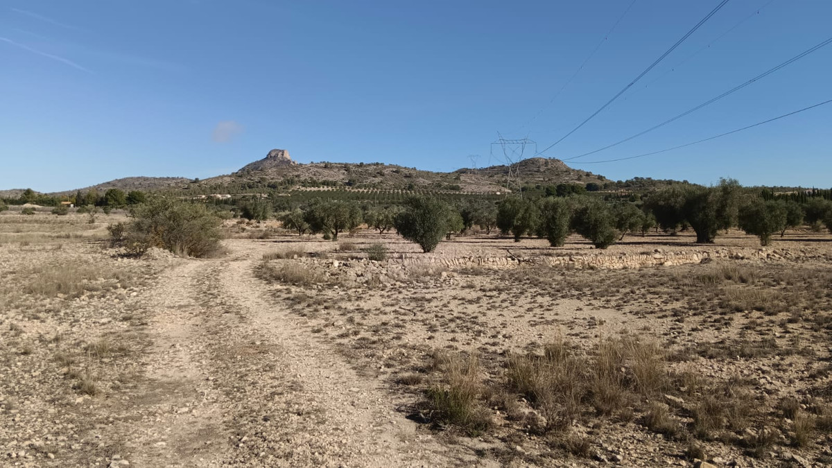 Se vende Terreno Rustico  en Costa Blanca, Alicante, España