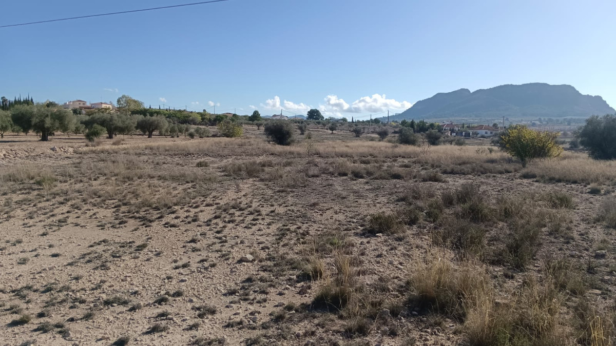 Se vende Terreno Rustico  en Costa Blanca, Alicante, España