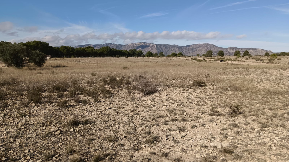 Se vende Terreno Rustico  en Costa Blanca, Alicante, España