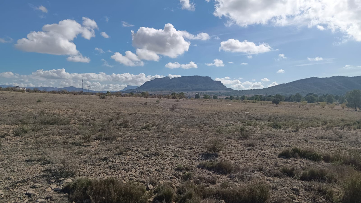 Se vende Terreno Rustico  en Costa Blanca, Alicante, España