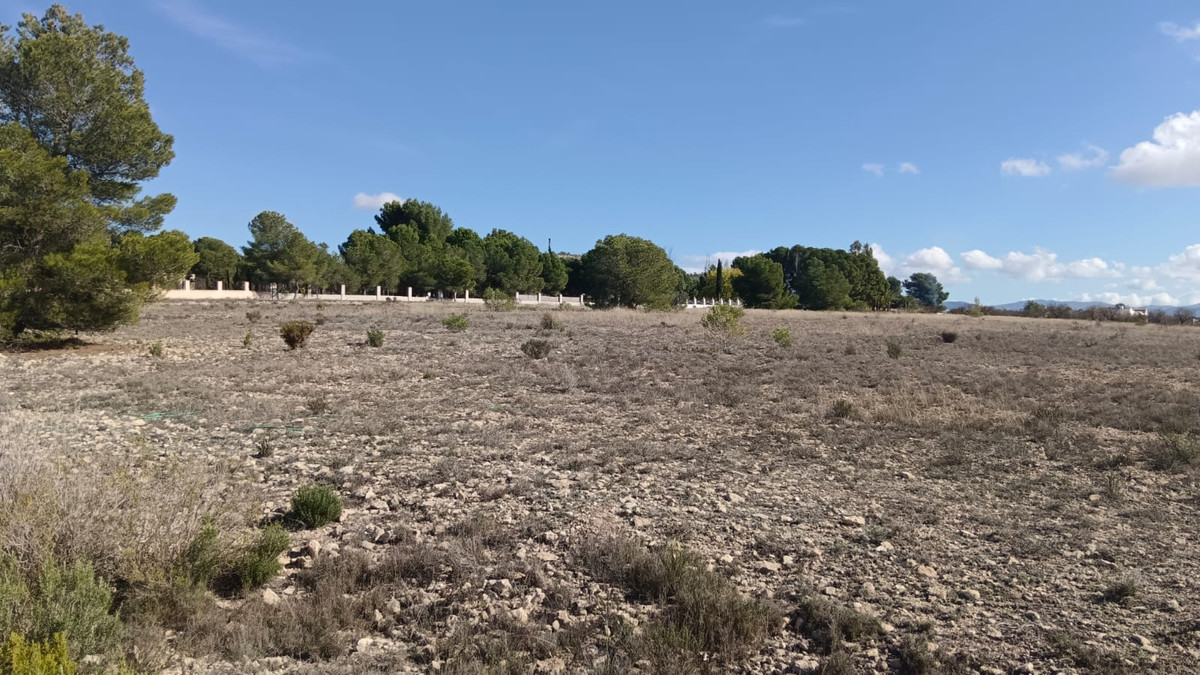 Se vende Terreno Rustico  en Costa Blanca, Alicante, España
