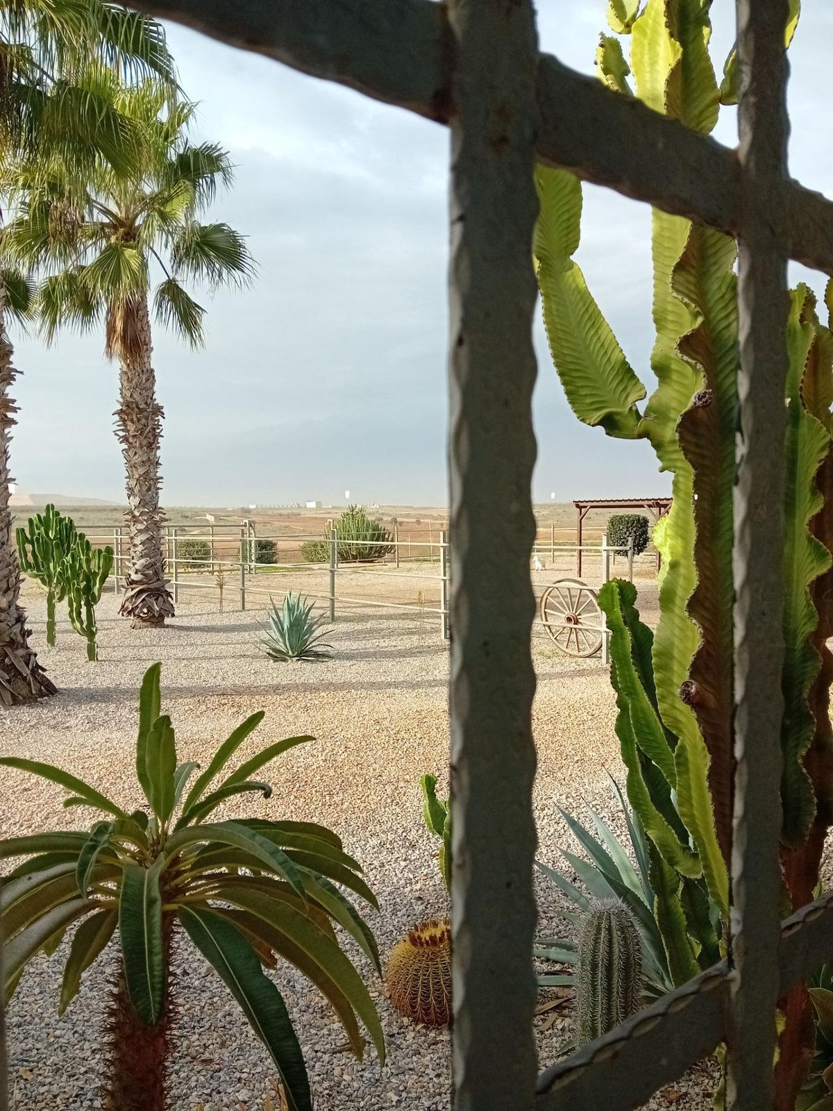Se vende Bungalow de 6 dormitorios en Costa Calida, Murcia, España