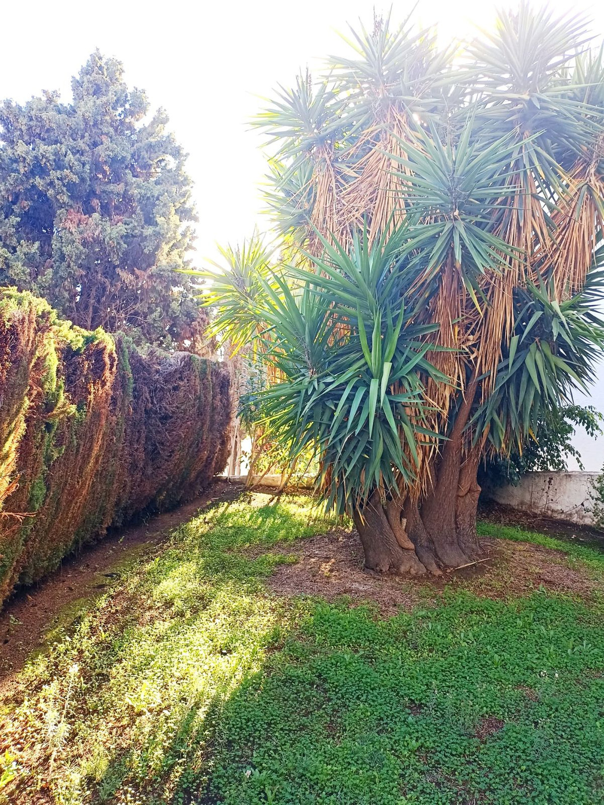 Se vende Apartamento Planta Baja de 1 dormitorios en Costa Del Sol, Málaga, España