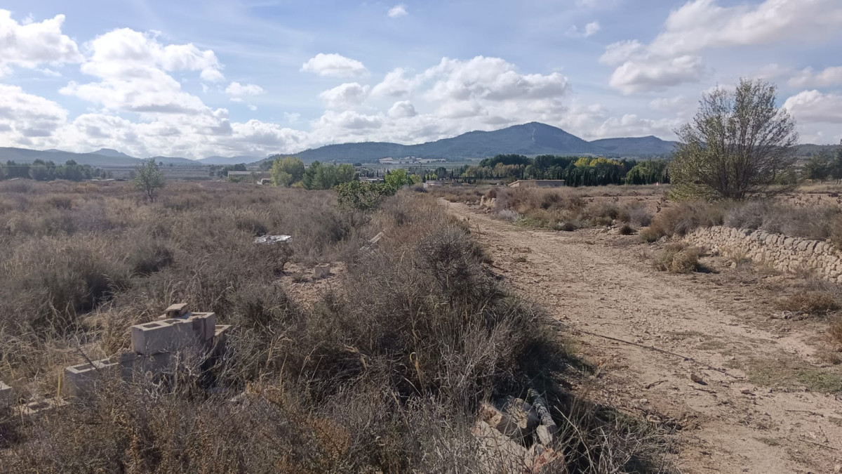 Se vende Terreno Rustico  en Costa Blanca, Alicante, España