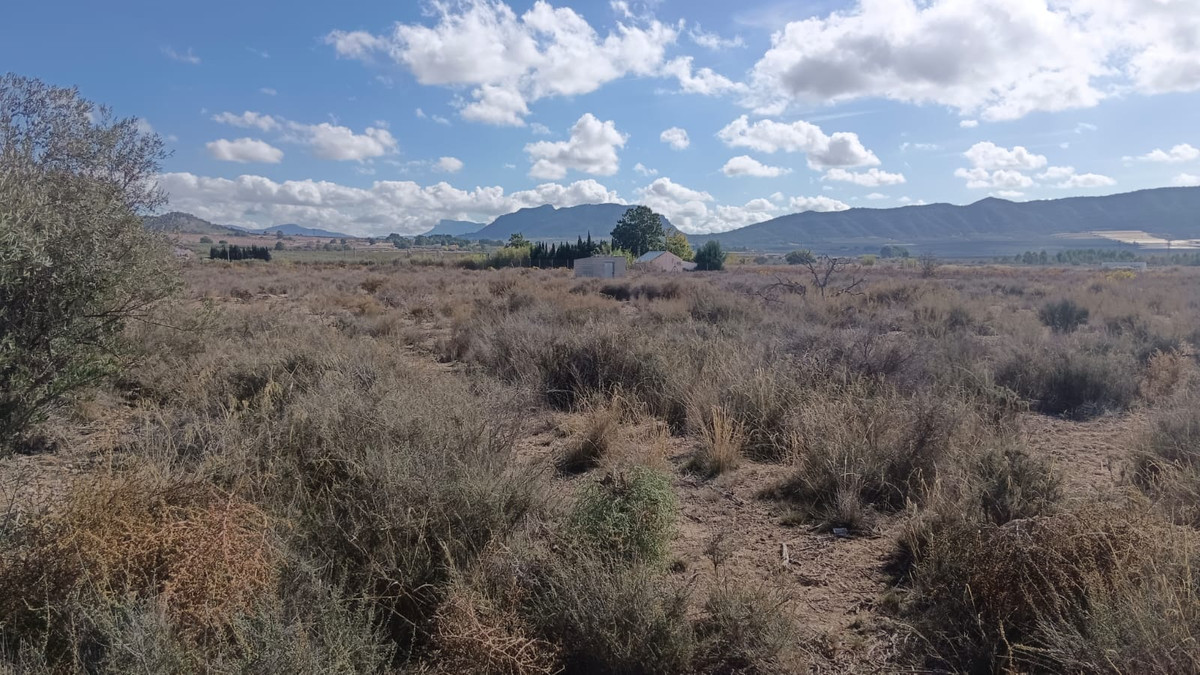 Se vende Terreno Rustico  en Costa Blanca, Alicante, España