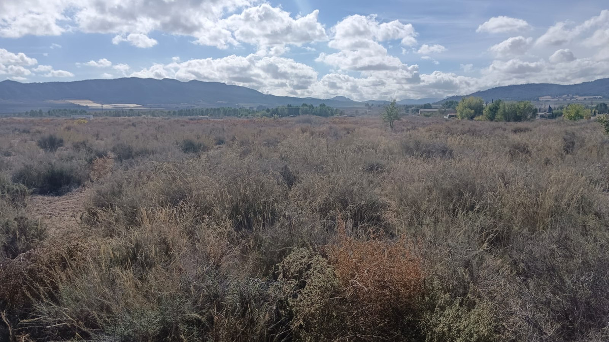 Se vende Terreno Rustico  en Costa Blanca, Alicante, España