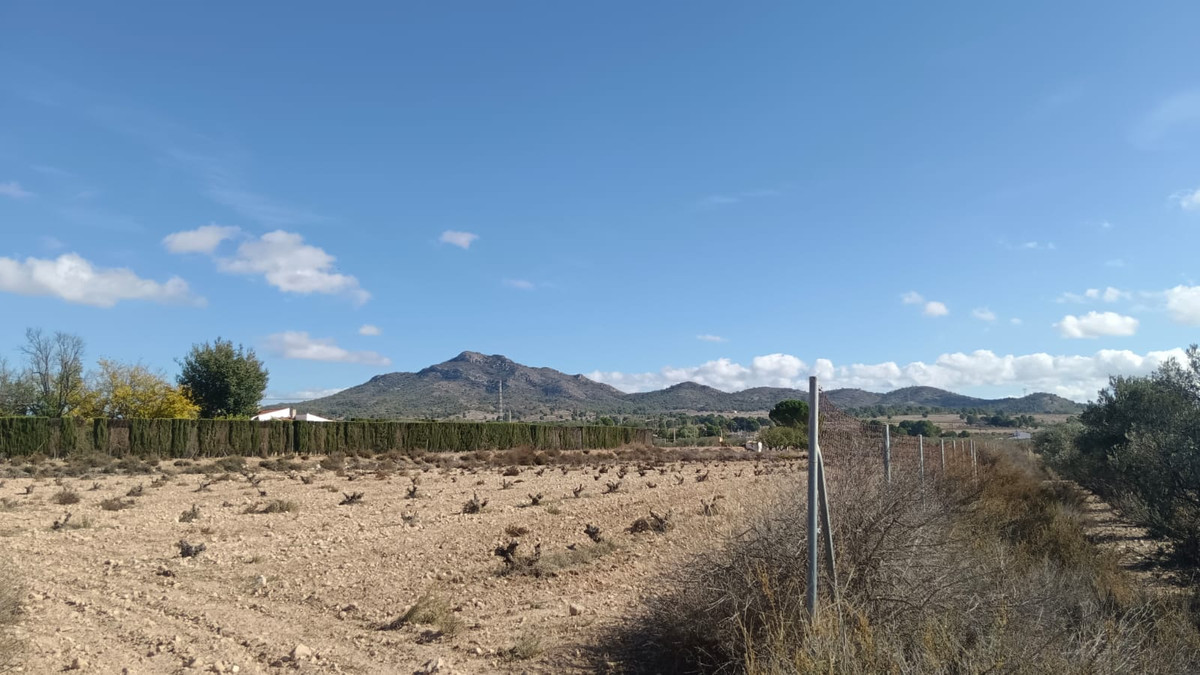 Se vende Terreno Rustico  en Costa Blanca, Alicante, España