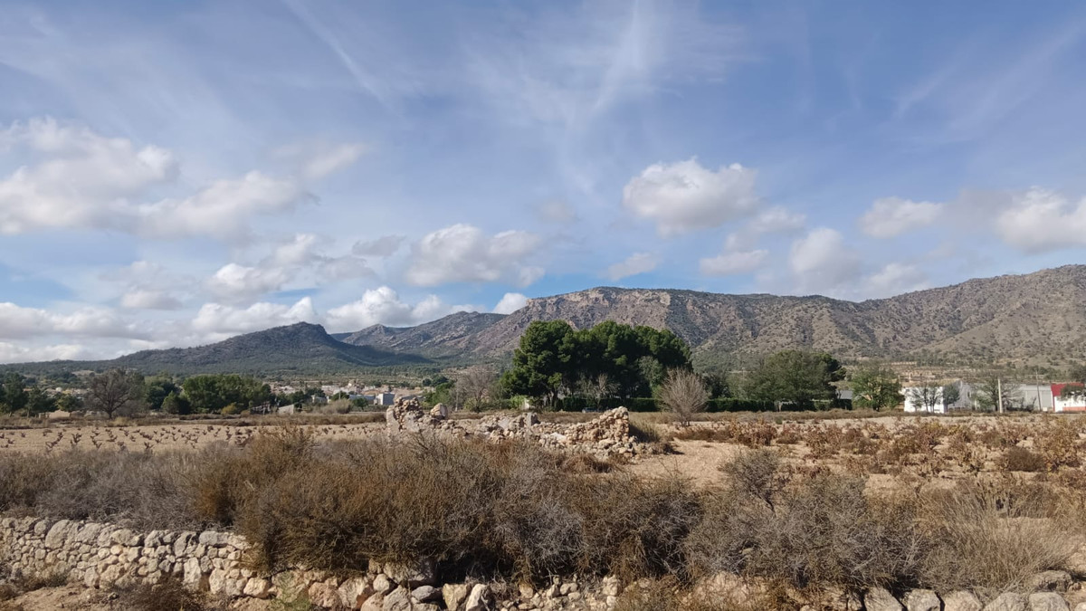 Se vende Terreno Rustico  en Costa Blanca, Alicante, España
