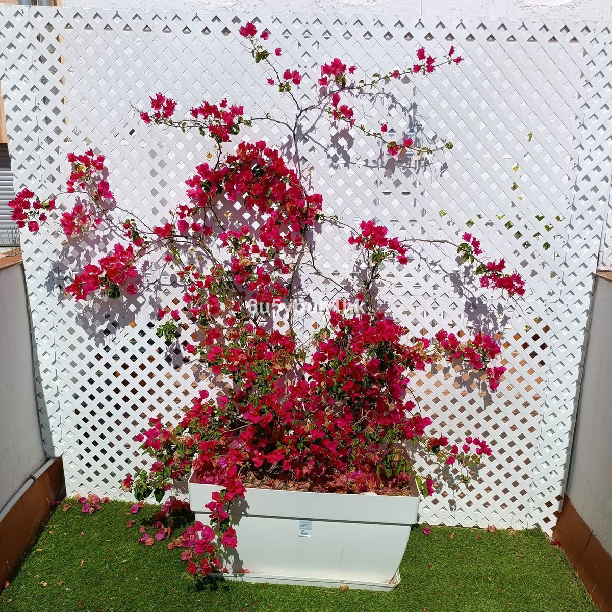 Se vende Adosada de 11 dormitorios en Costa Del Sol, Málaga, España