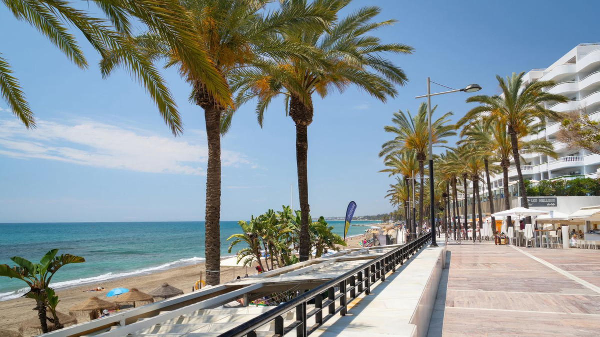 Commercial unit for sale in San Pedro De Alcántara Costa Del Sol, Málaga, Spain