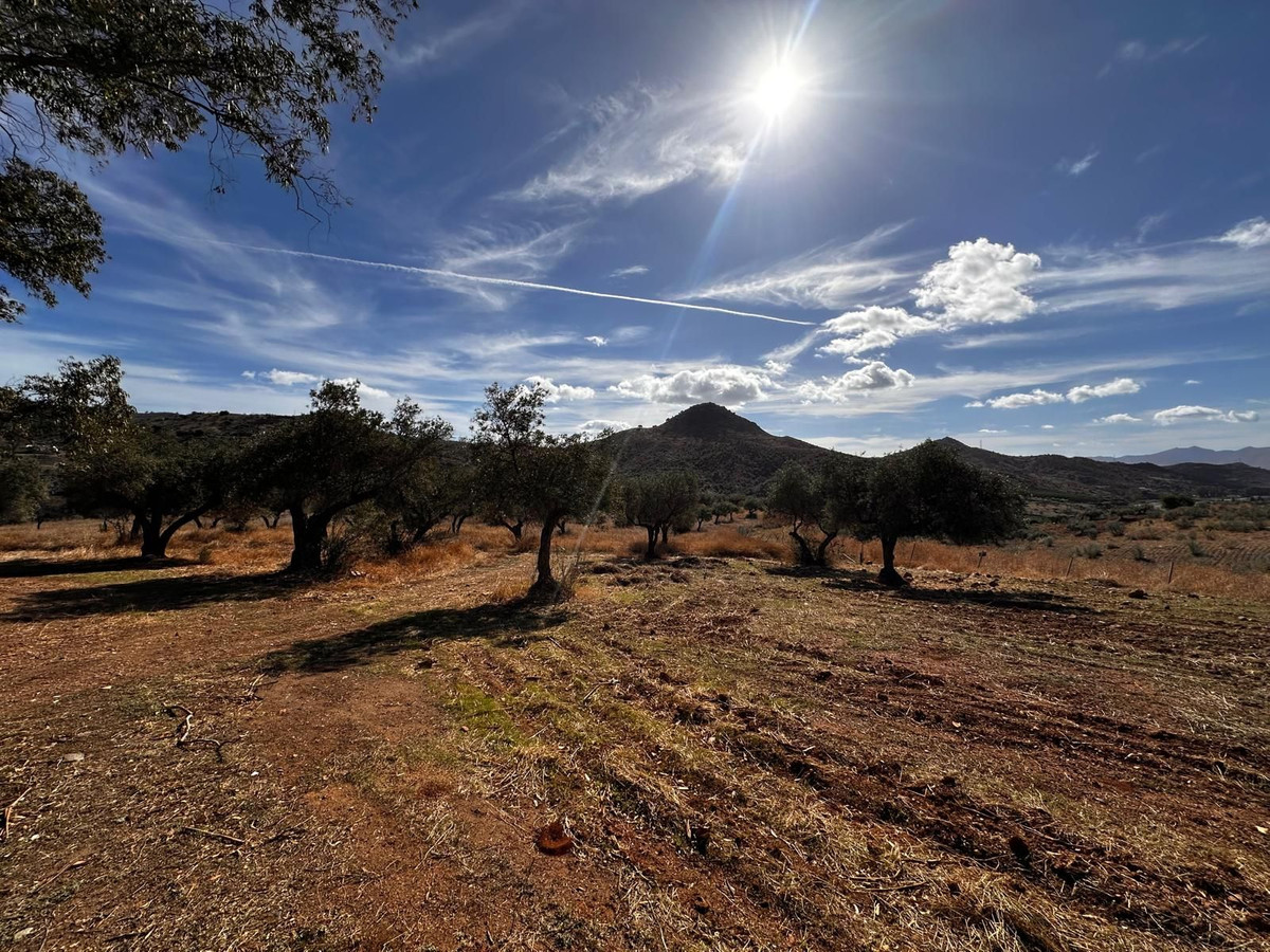 Plots for sale in Almogía Costa Del Sol, Málaga, Spain