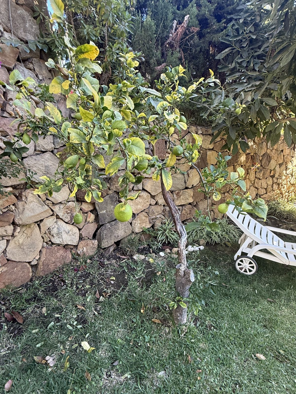4 Bed Townhouse for sale in Calahonda Costa Del Sol, Málaga, Spain