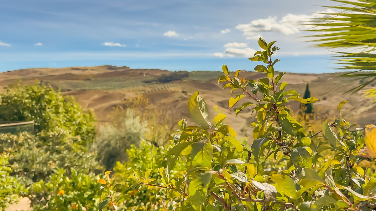 Se vende Finca - Cortijo de 2 dormitorios en Costa Del Sol, Málaga, España