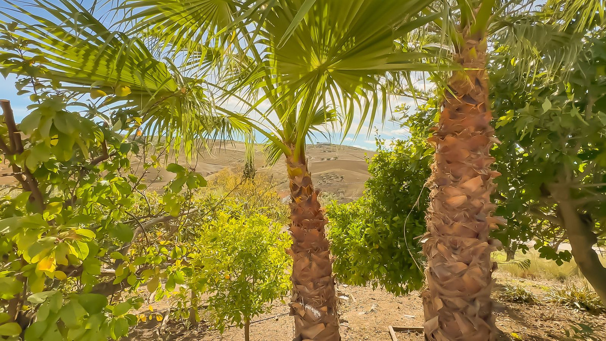 Se vende Finca - Cortijo de 2 dormitorios en Costa Del Sol, Málaga, España