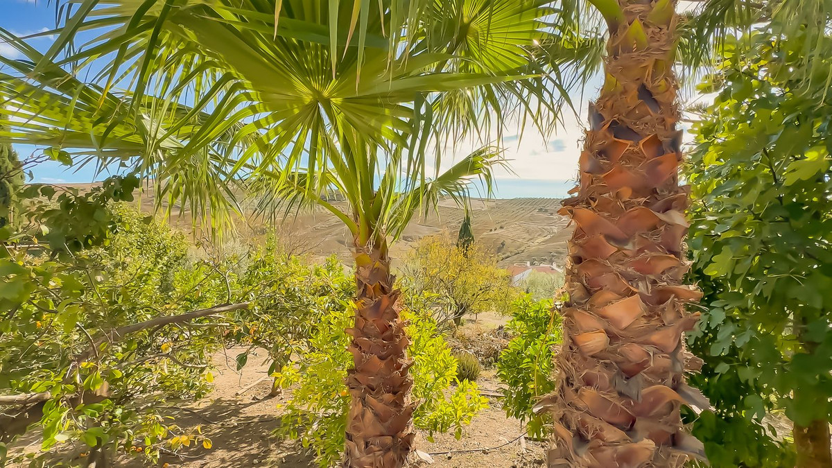 Se vende Finca - Cortijo de 2 dormitorios en Costa Del Sol, Málaga, España