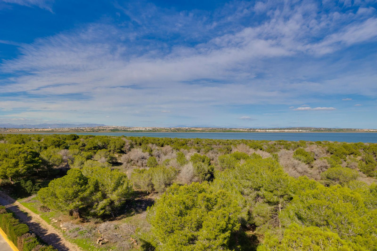 Se vende Apartamento Planta Baja de 3 dormitorios en Costa Blanca, Alicante, España