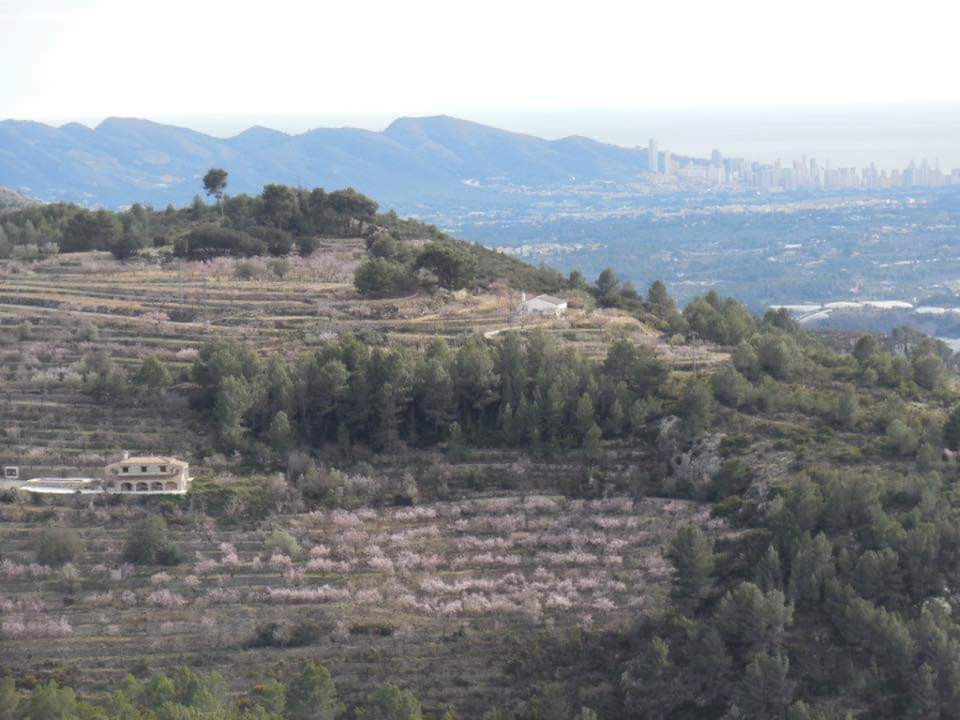 Se vende Finca - Cortijo de 3 dormitorios en Costa Blanca, Alicante, España