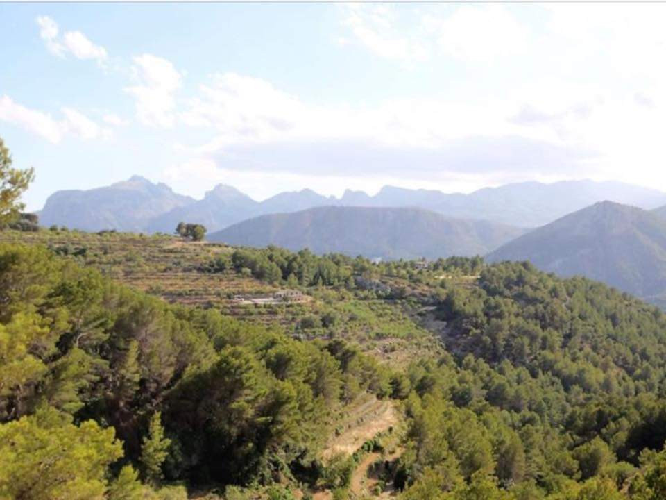 Se vende Finca - Cortijo de 3 dormitorios en Costa Blanca, Alicante, España