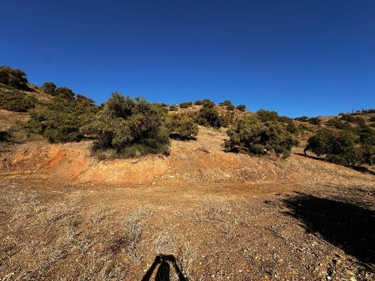 Se vende Terreno Rustico de 1 dormitorios en Costa Del Sol, Málaga, España