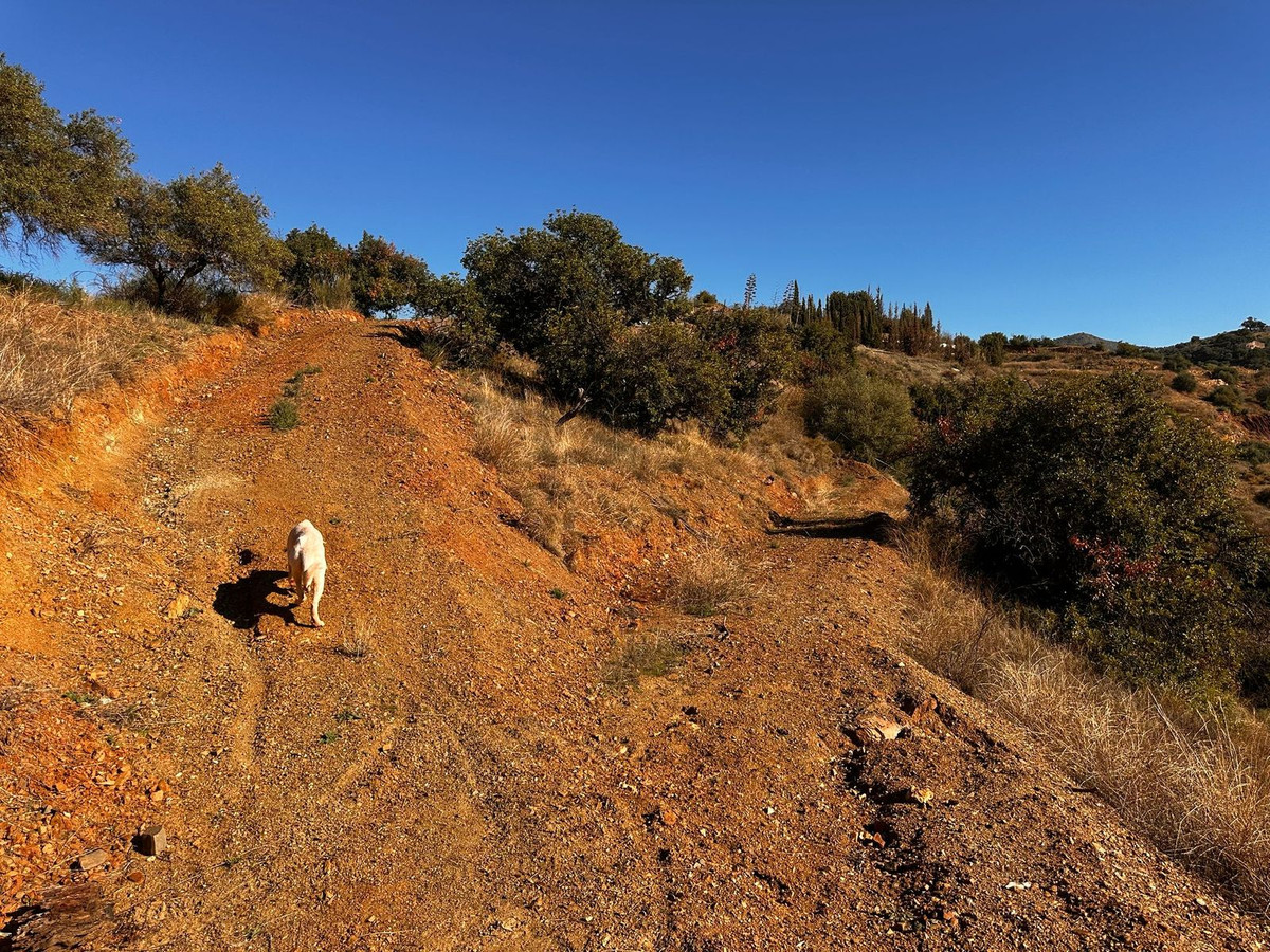 Se vende Terreno Rustico  en Costa Del Sol, Málaga, España