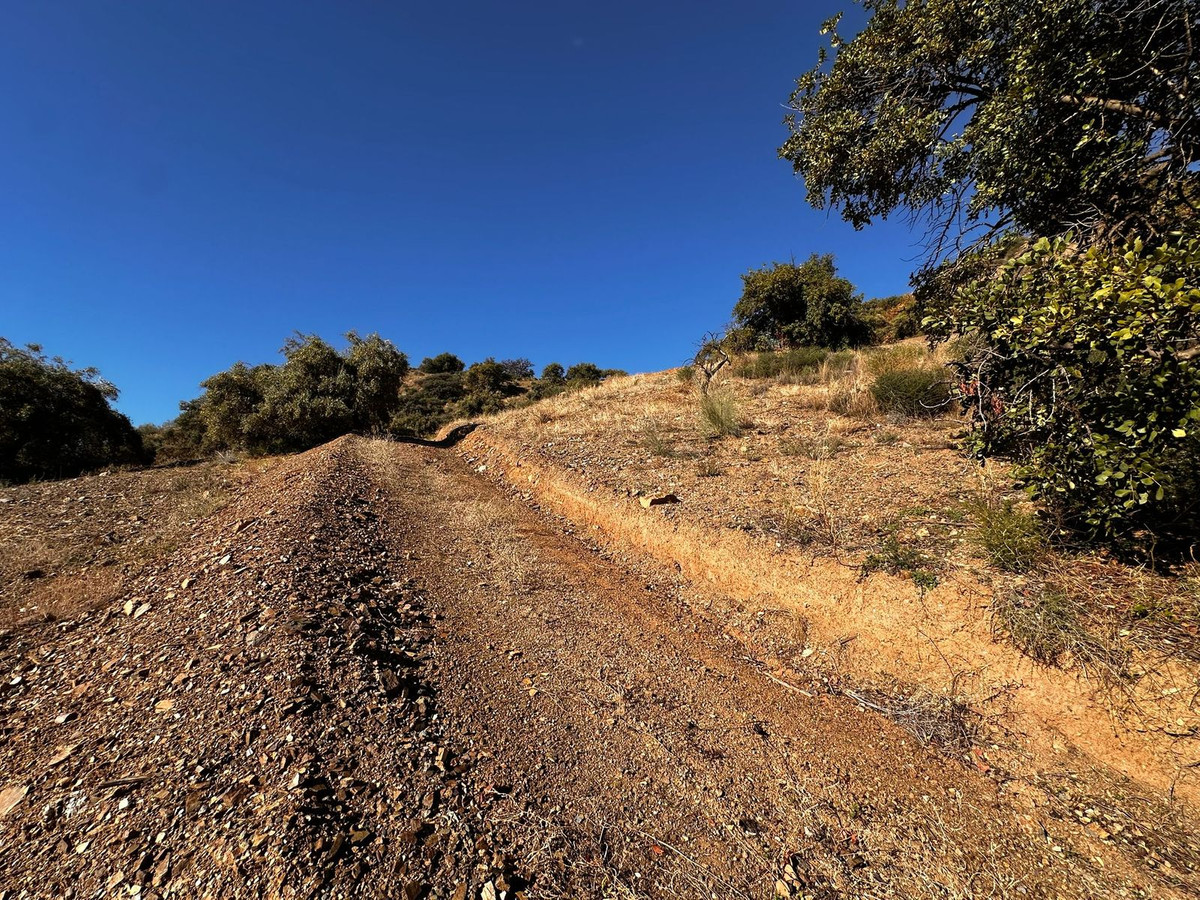Se vende Terreno Rustico  en Costa Del Sol, Málaga, España