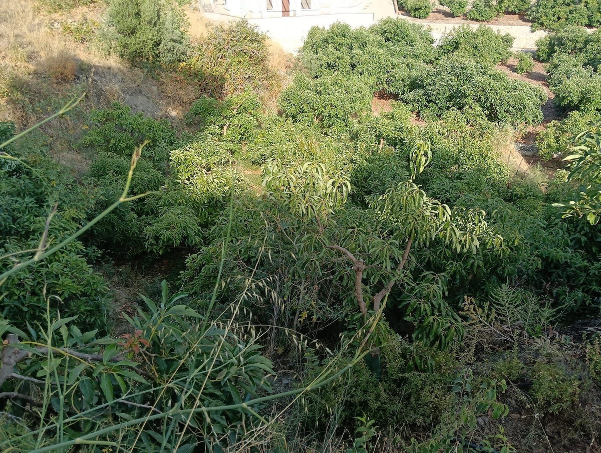 Se vende Terreno Rustico  en Costa Del Sol East, Málaga, España