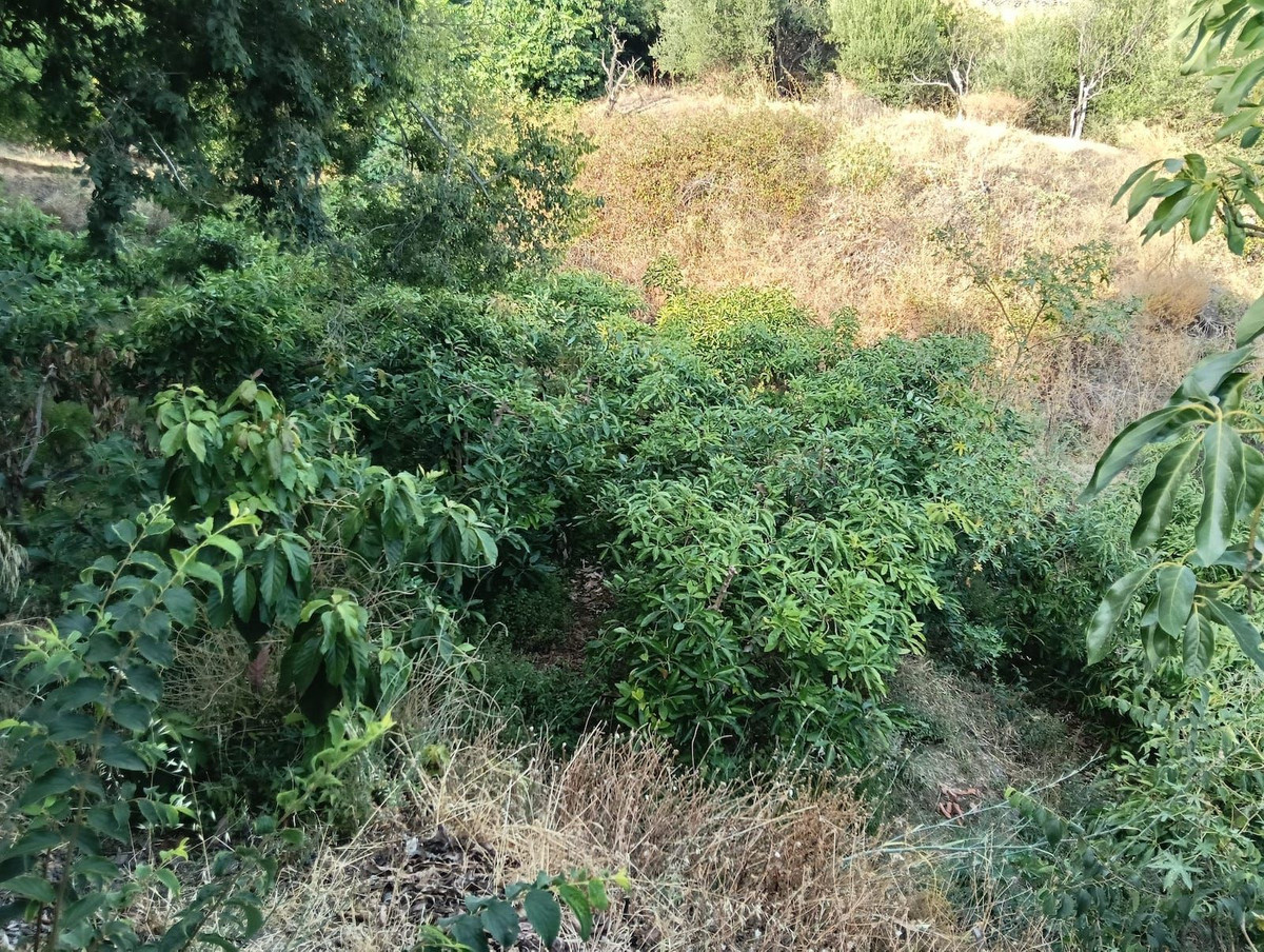 Se vende Terreno Rustico  en Costa Del Sol East, Málaga, España