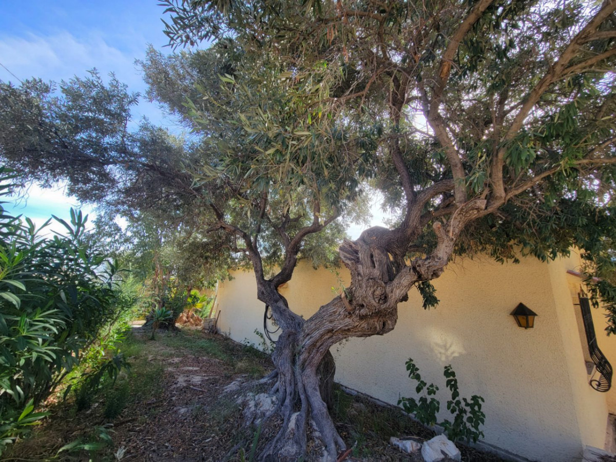 Se vende Villa - Chalet de 3 dormitorios en Costa Blanca, Alicante, España