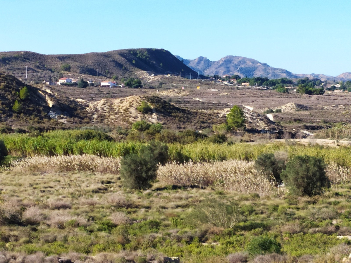 Se vende Finca - Cortijo de 1 dormitorios en Costa Blanca, Alicante, España