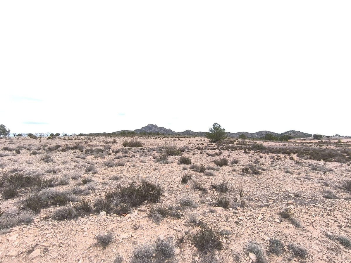 Se vende Terreno Rustico  en Costa Blanca, Alicante, España