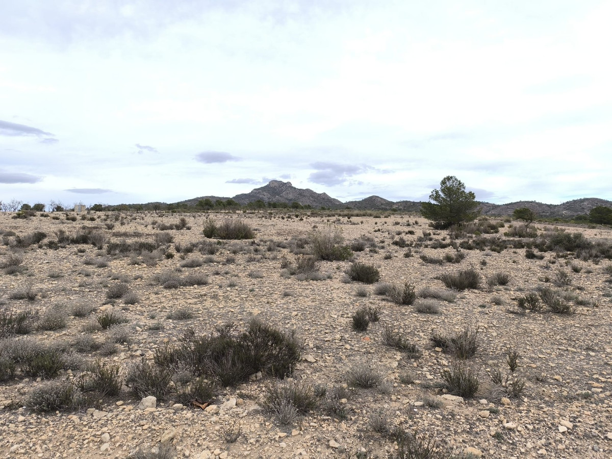 Se vende Terreno Rustico  en Costa Blanca, Alicante, España