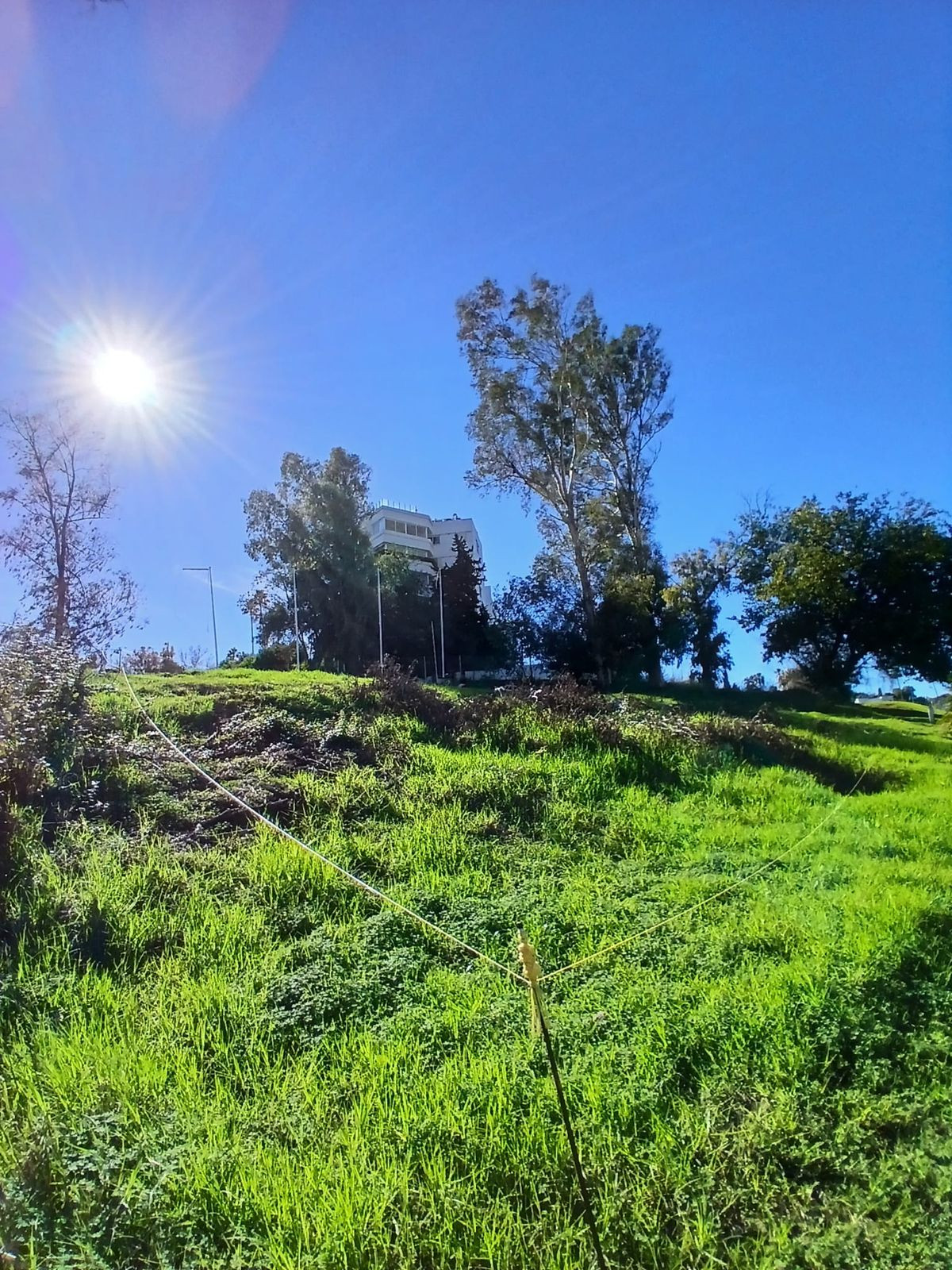 Plots for sale in Guadalmina Alta Costa Del Sol, Málaga, Spain