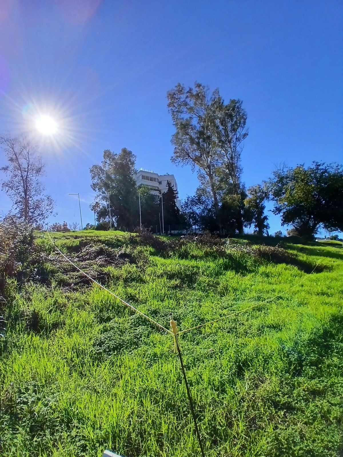 Plots for sale in Guadalmina Alta Costa Del Sol, Málaga, Spain