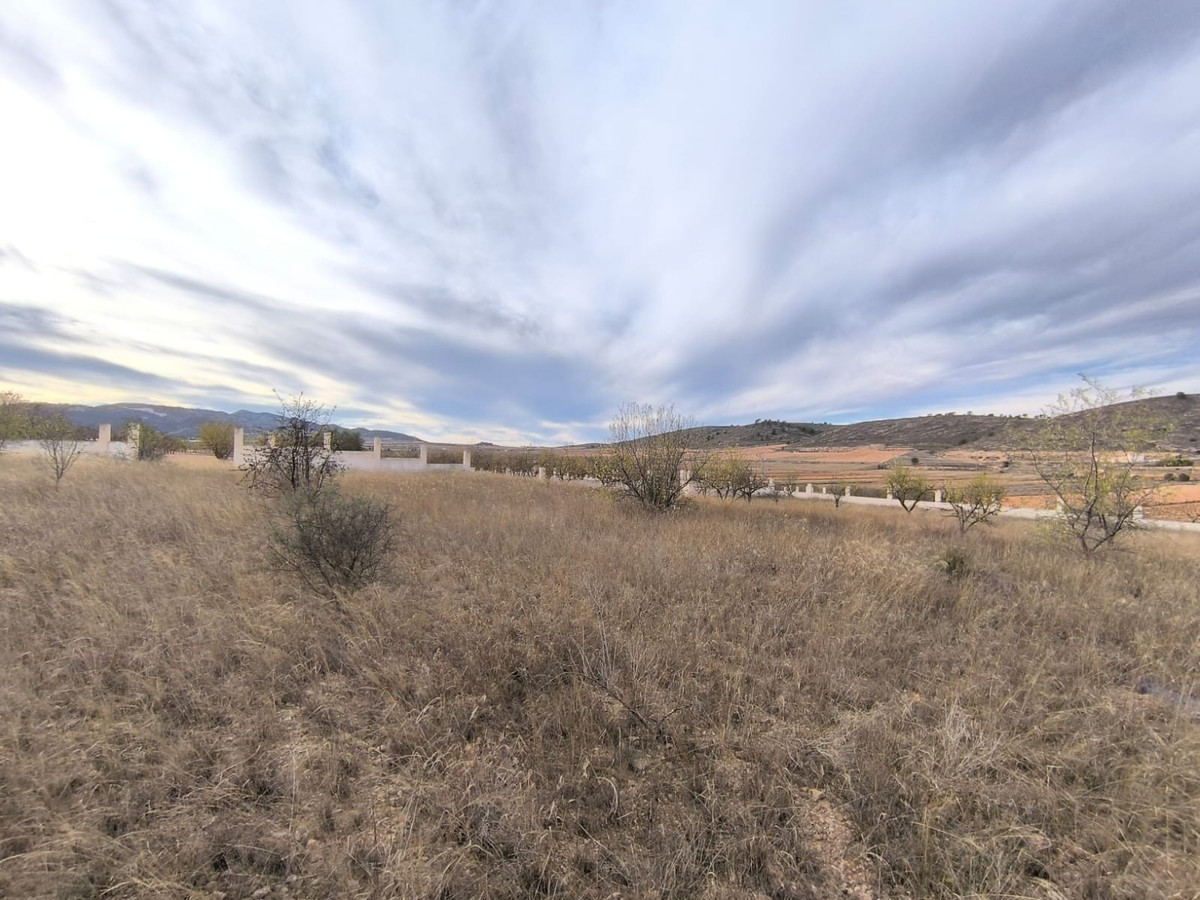 Se vende Terreno Rustico  en Costa Calida, Murcia, España