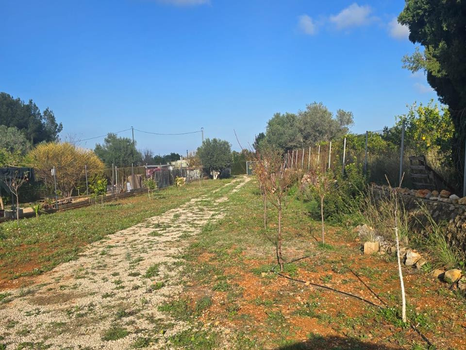 Se vende Terreno Rustico de 1 dormitorios en Costa Blanca, Alicante, España
