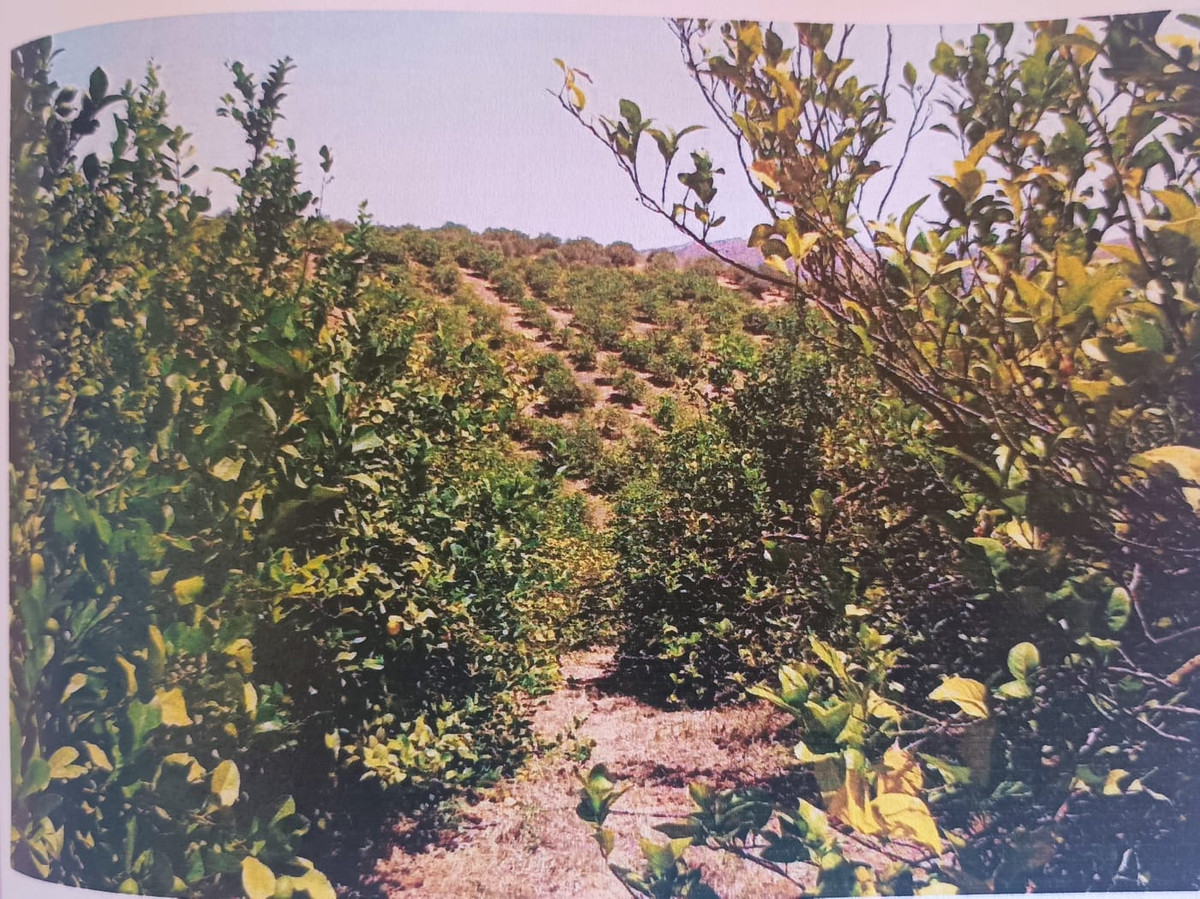 Plots for sale in Alora Costa Del Sol, Málaga, Spain