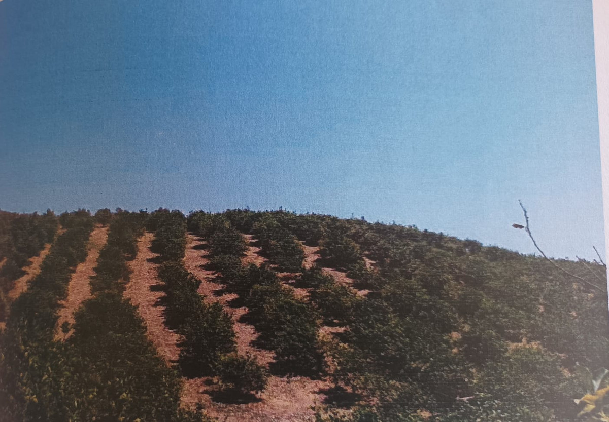 Plots for sale in Alora Costa Del Sol, Málaga, Spain