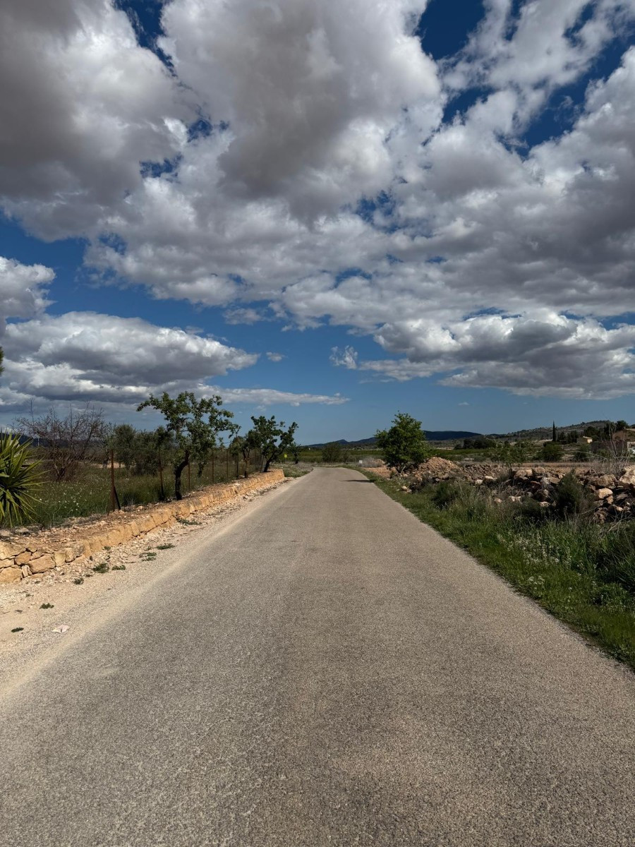 Plots for sale in Pinoso Costa Blanca, Alicante, Spain