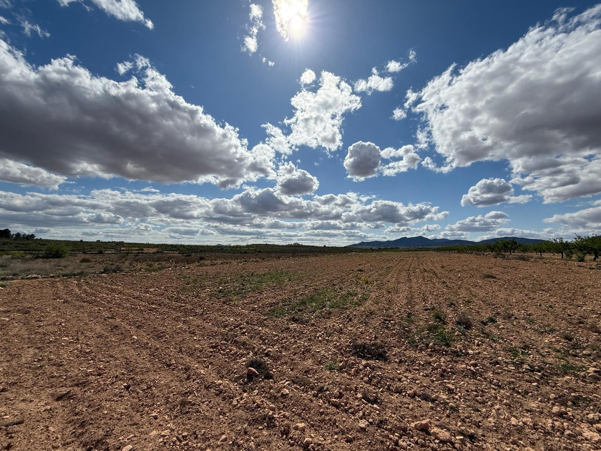 Plots for sale in Pinoso Costa Blanca, Alicante, Spain