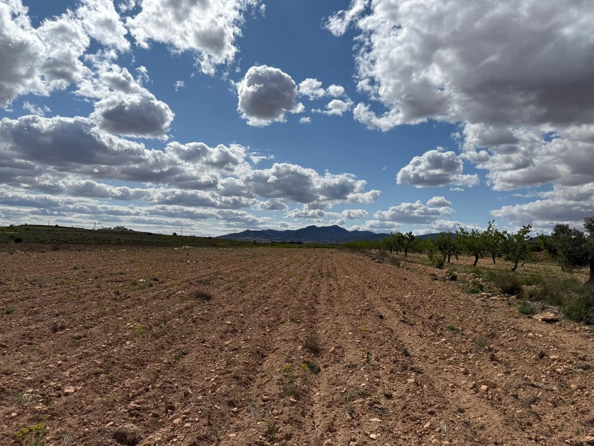 Plots for sale in Pinoso Costa Blanca, Alicante, Spain