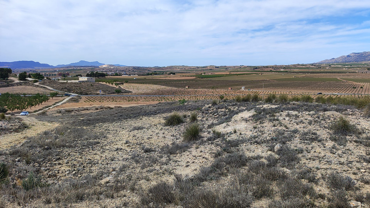 Plots for sale in Pinoso Costa Blanca, Alicante, Spain
