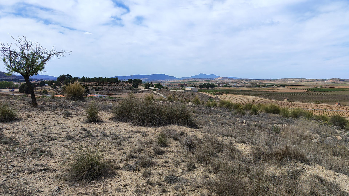 Plots for sale in Pinoso Costa Blanca, Alicante, Spain