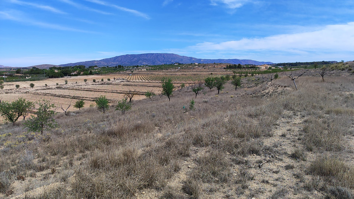Plots for sale in Pinoso Costa Blanca, Alicante, Spain
