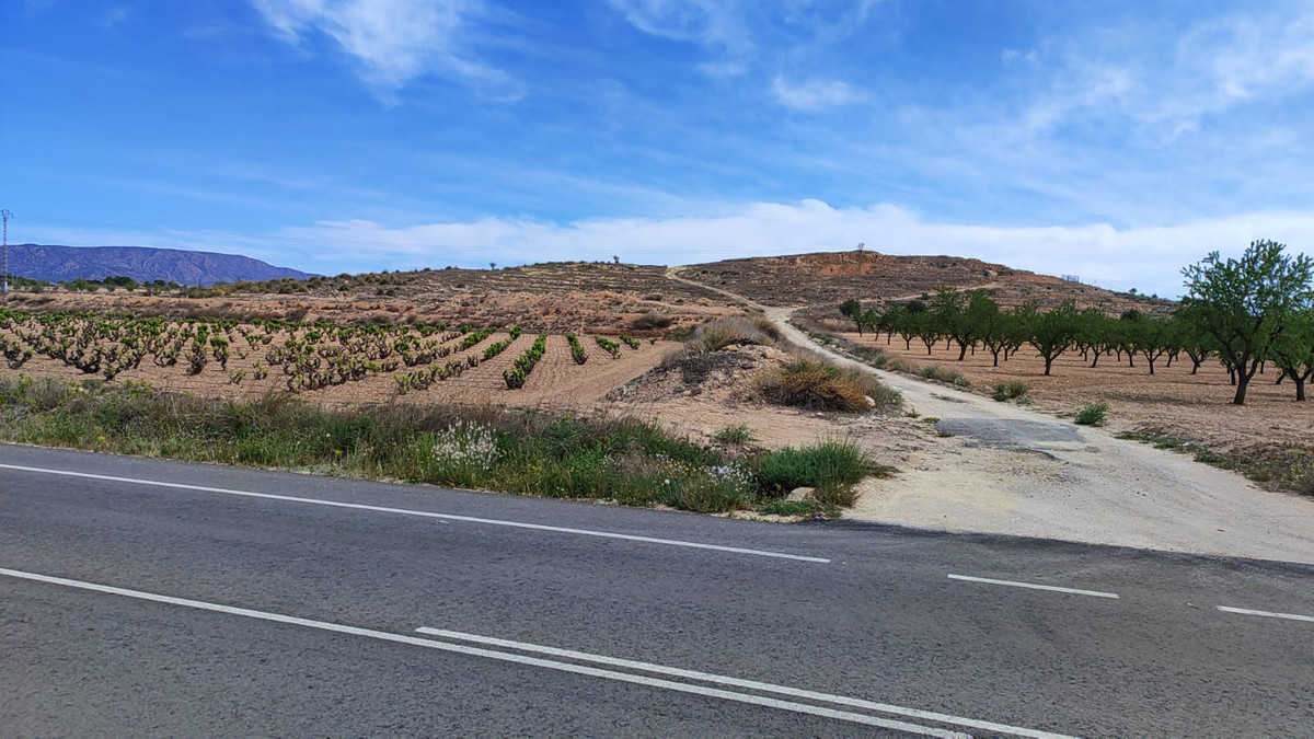 Plots for sale in Pinoso Costa Blanca, Alicante, Spain
