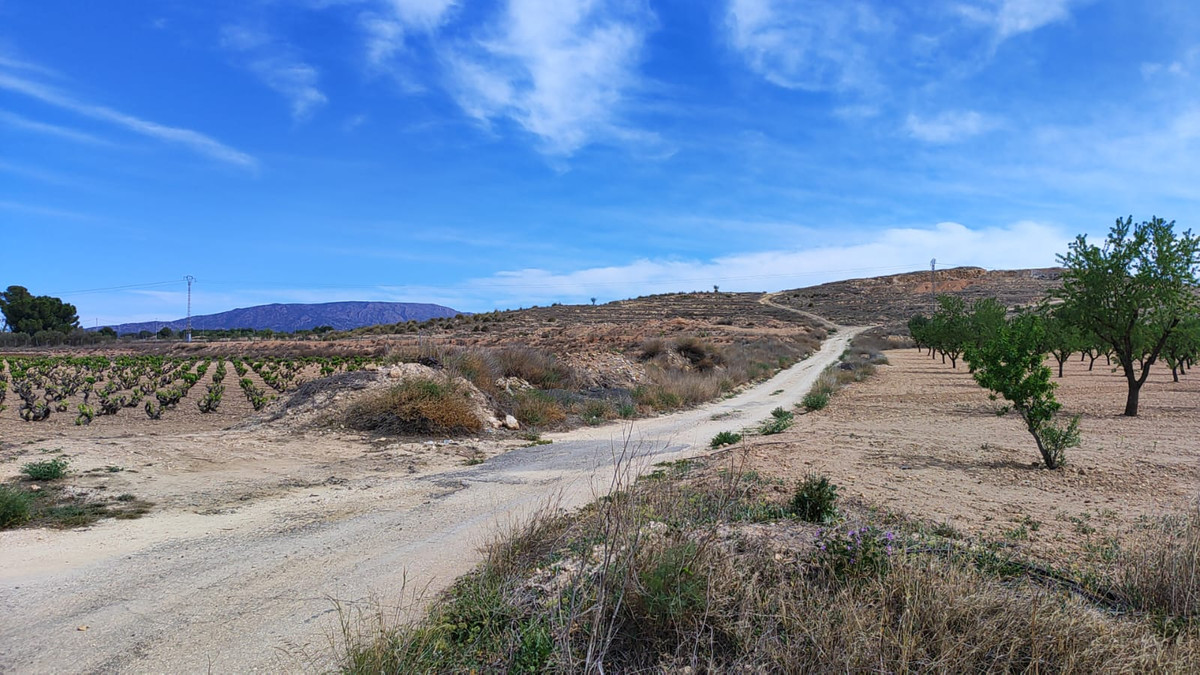 Plots for sale in Pinoso Costa Blanca, Alicante, Spain