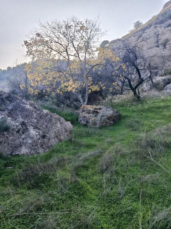 Se vende Terreno Rustico  en Costa Del Sol, Málaga, España
